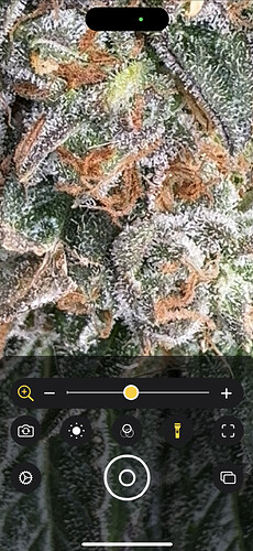 Growreport Bild 5