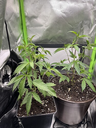 Growreport Bild 18