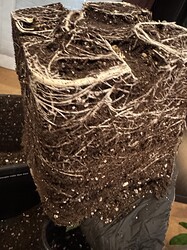 Growreport Bild 12