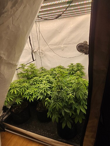 Growreport Bild 6