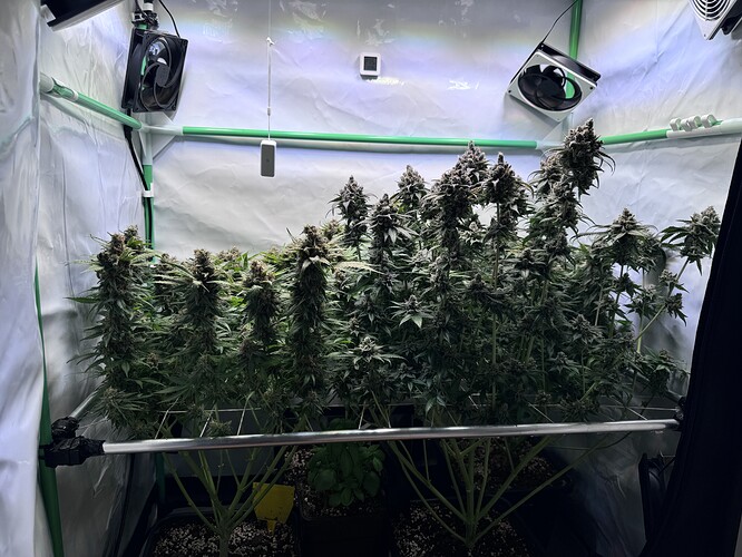 Growreport Bild 26