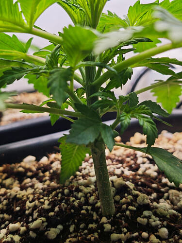 Growreport Bild 22