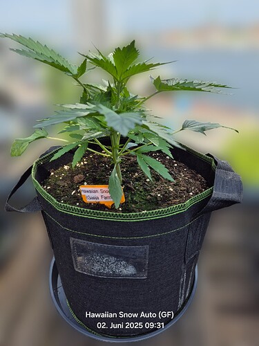 Growreport Bild 12
