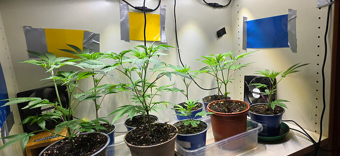 Growreport Bild 27
