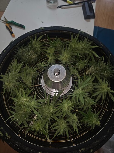 Growreport Bild 13