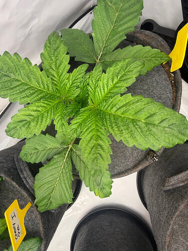 Growreport Bild 16