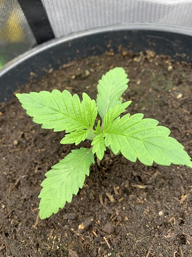 Growreport Bild 17