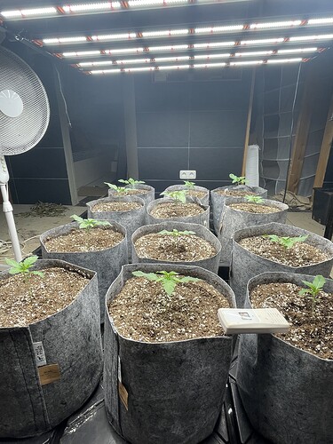 Growreport Bild 2