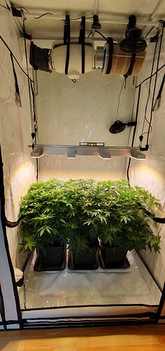 Growreport Bild 16