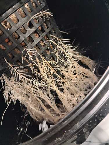 WhatsApp Image 2026-02-02 at 10.58.48