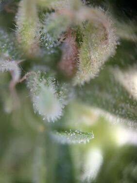 PXL_20250629_093829044