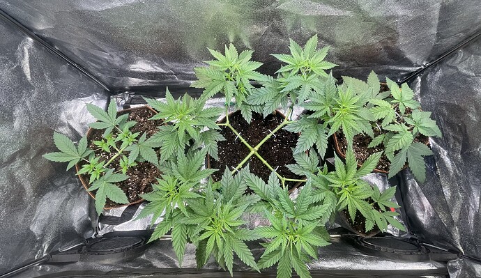 Growreport Bild 30