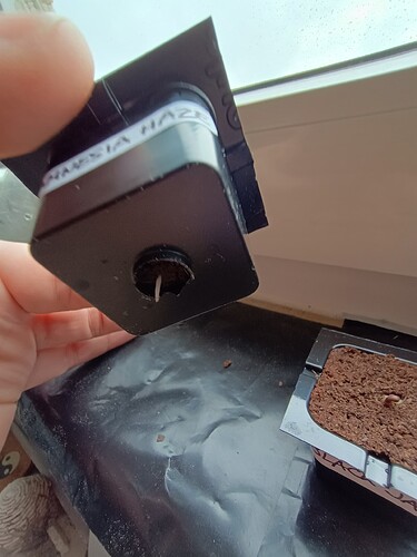 IMG_20240422_083844012_HDR