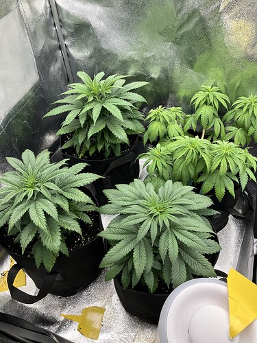 Growreport Bild 18