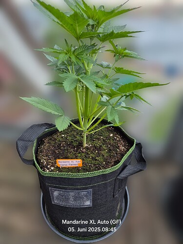 Growreport Bild 2