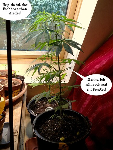 Grow25_0511_08_txt