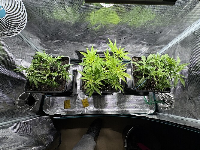 Growreport Bild 10