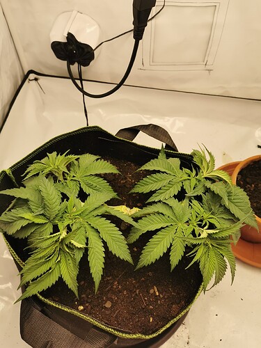 Growreport Bild 14
