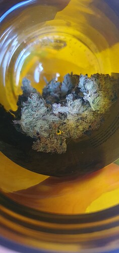 Growreport Bild 5