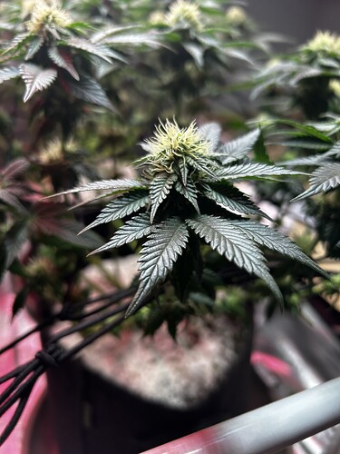 Growreport Bild 23
