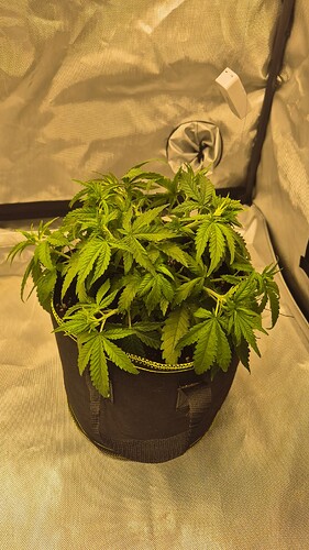 Growreport Bild 5