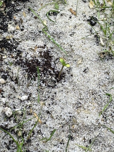 Growreport Bild 18