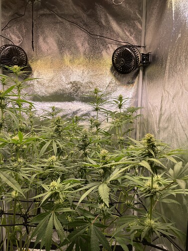 Growreport Bild 15