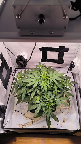Growreport Bild 3