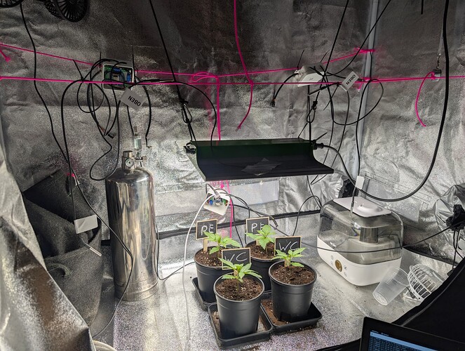 PXL_20250307_005900730.RAW-01.COVER