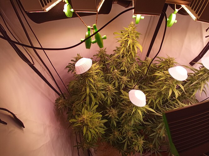 Growreport Bild 3