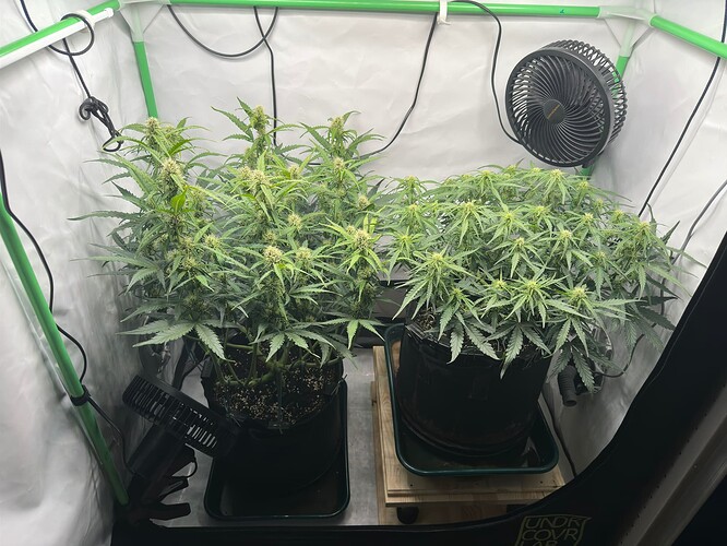 signal-2025-01-16-144837_003