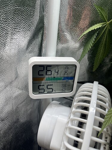 Growreport Bild 3