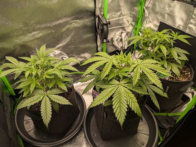 Growreport Bild 19