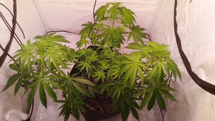 Growreport Bild 10