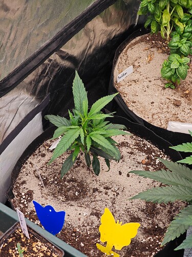 Growreport Bild 12