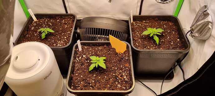 WhatsApp Image 2024-05-05 at 13.58.10 (3)