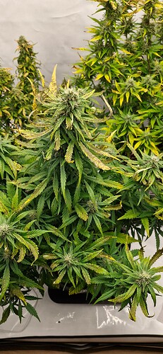 Growreport Bild 23