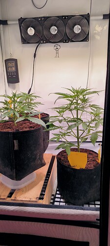 Growreport Bild 15
