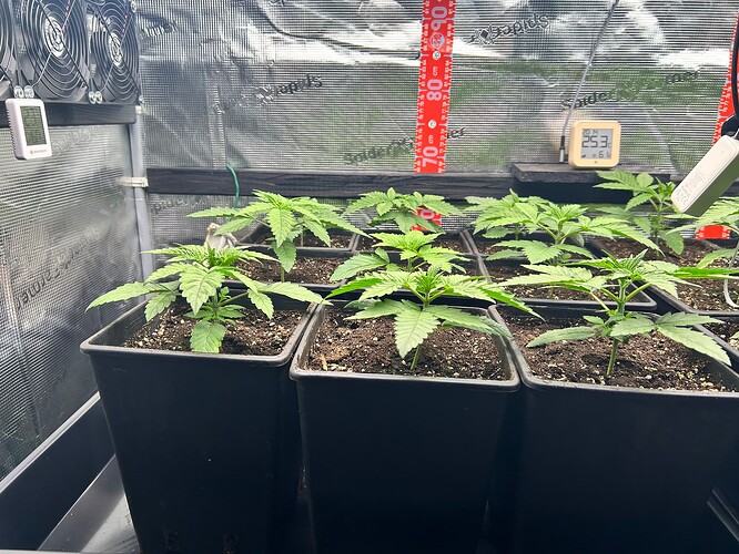 Growreport Bild 13