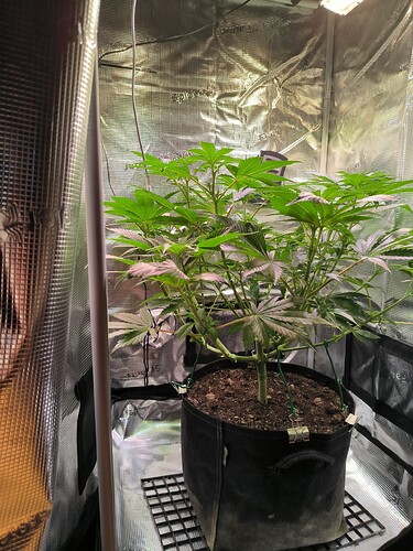 Growreport Bild 8