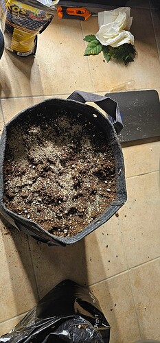 Growreport Bild 52