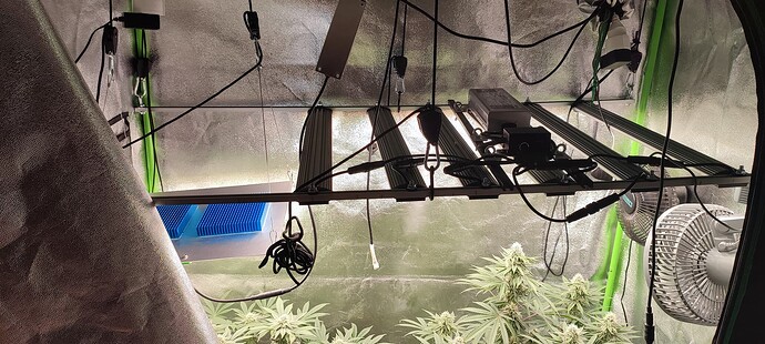 Growreport Bild 2