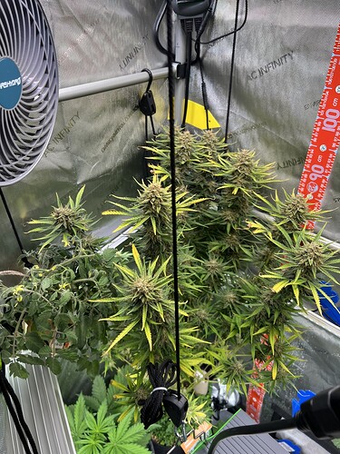 Growreport Bild 15