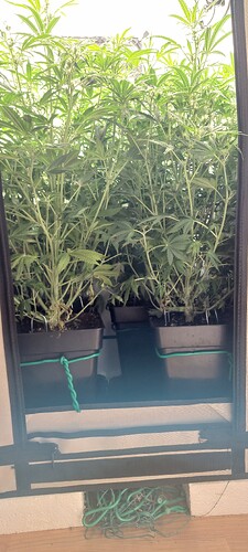 Growreport Bild 14