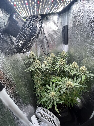 Growreport Bild 2