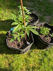 PXL_20250506_065247125