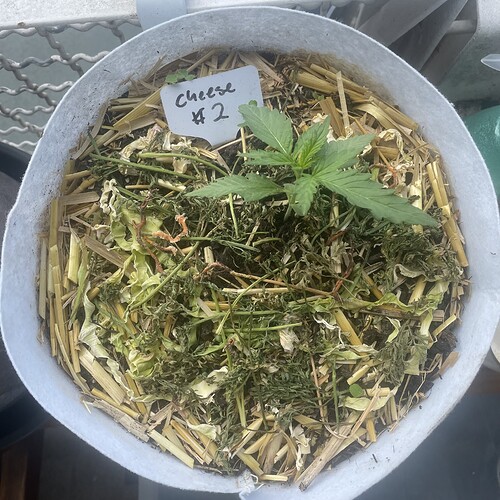 Growreport Bild 5