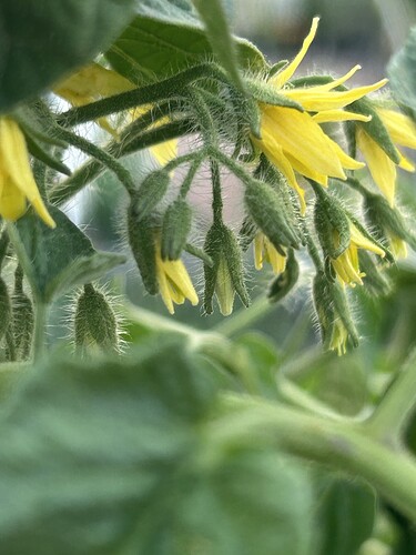 Growreport Bild 44