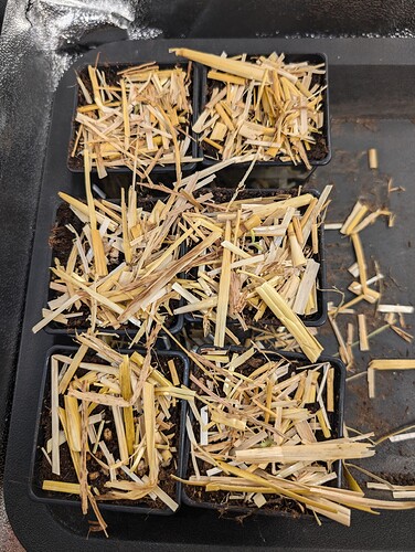 PXL_20240629_115550834