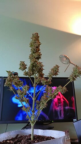 Growreport Bild 10